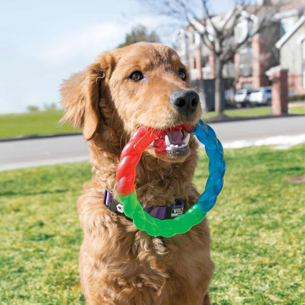 Twistz Ring for Dogs 1 Unit - Default Title - product image 3