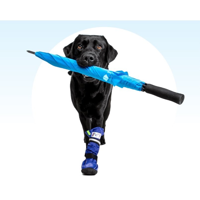 Protection Boot for Dogs - view 6
