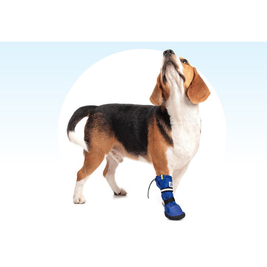 Short Protection Boot for Dogs (Blue) 1 Boot, Large - Default Title - product image 1