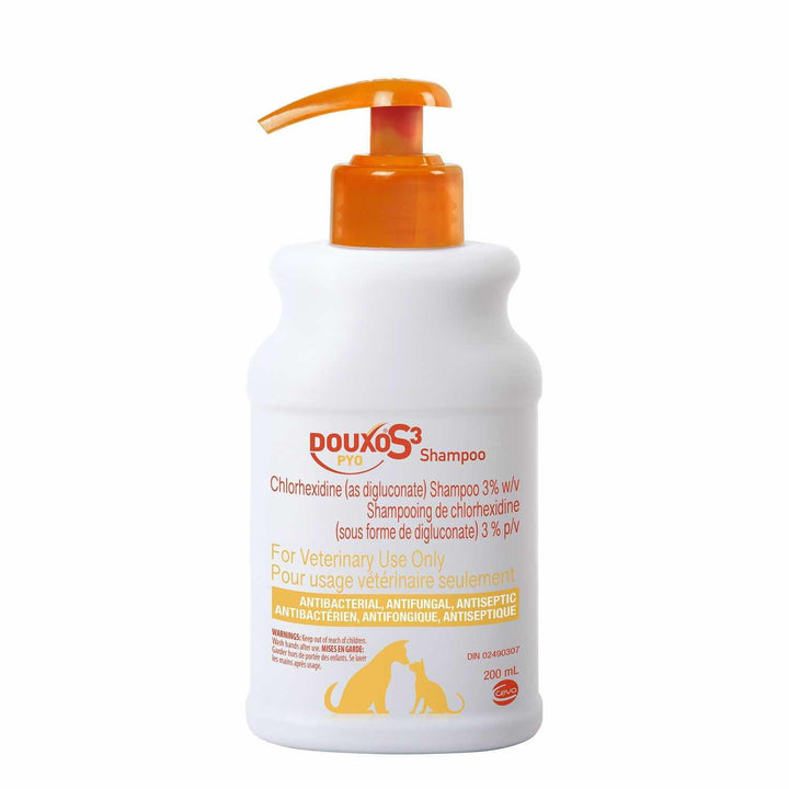 Cat Skin & Coat Care