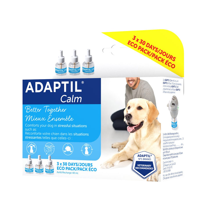 Dog Anxiety & Behaviour
