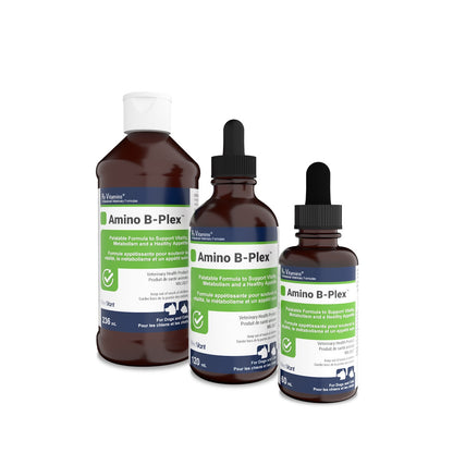 Rx Vitamins Amino B Plex for Cats and Dogs - 236 mL - product image 4