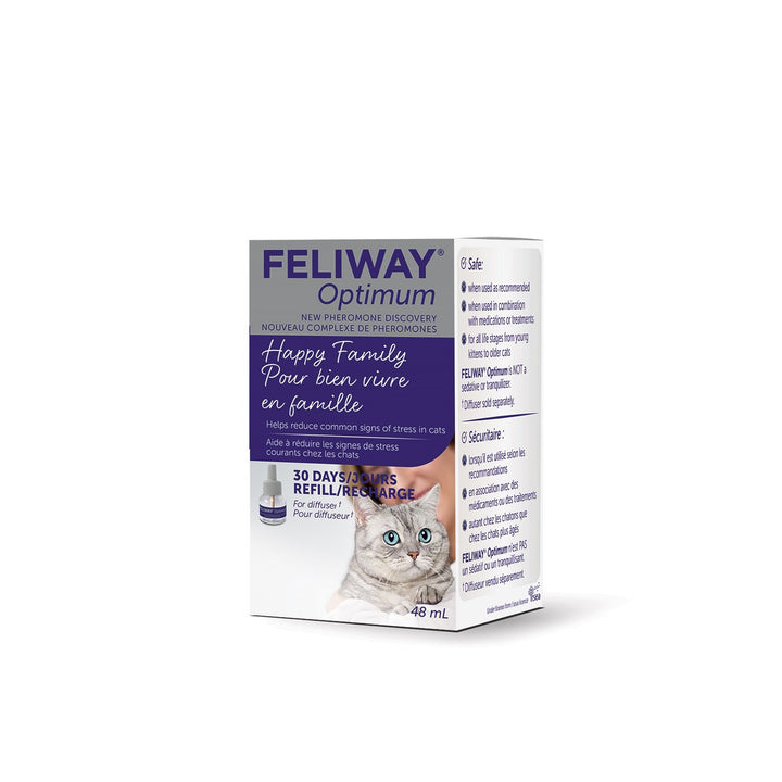 Cat Anxiety & Behaviour