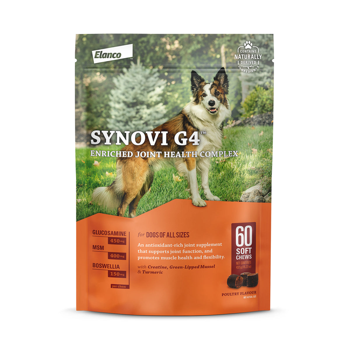 Synovi G4 for Dogs - 60 Soft Chews - product image 1