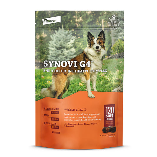 Synovi G4 for Dogs - 120 Soft Chews - product image 1