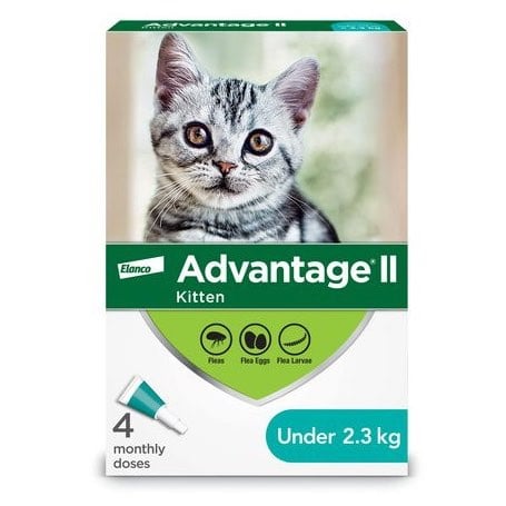 Advantage II for Cats - Under 2.3 kg (Aqua) / Pack of 4 - product image 2