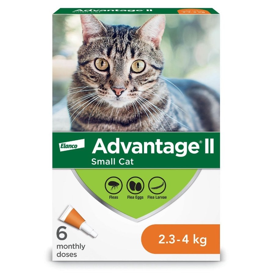 Advantage II for Cats - 2.3-4 kg (Orange) / Pack of 6 - product image 2