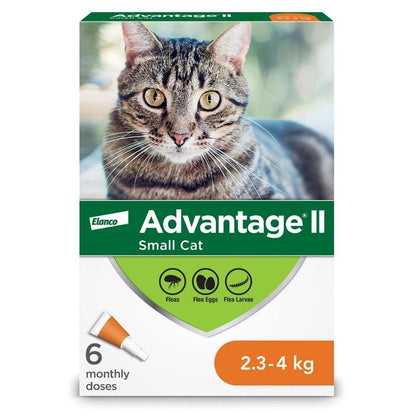 Advantage II for Cats - 2.3-4 kg (Orange) / Pack of 6 - product image 2