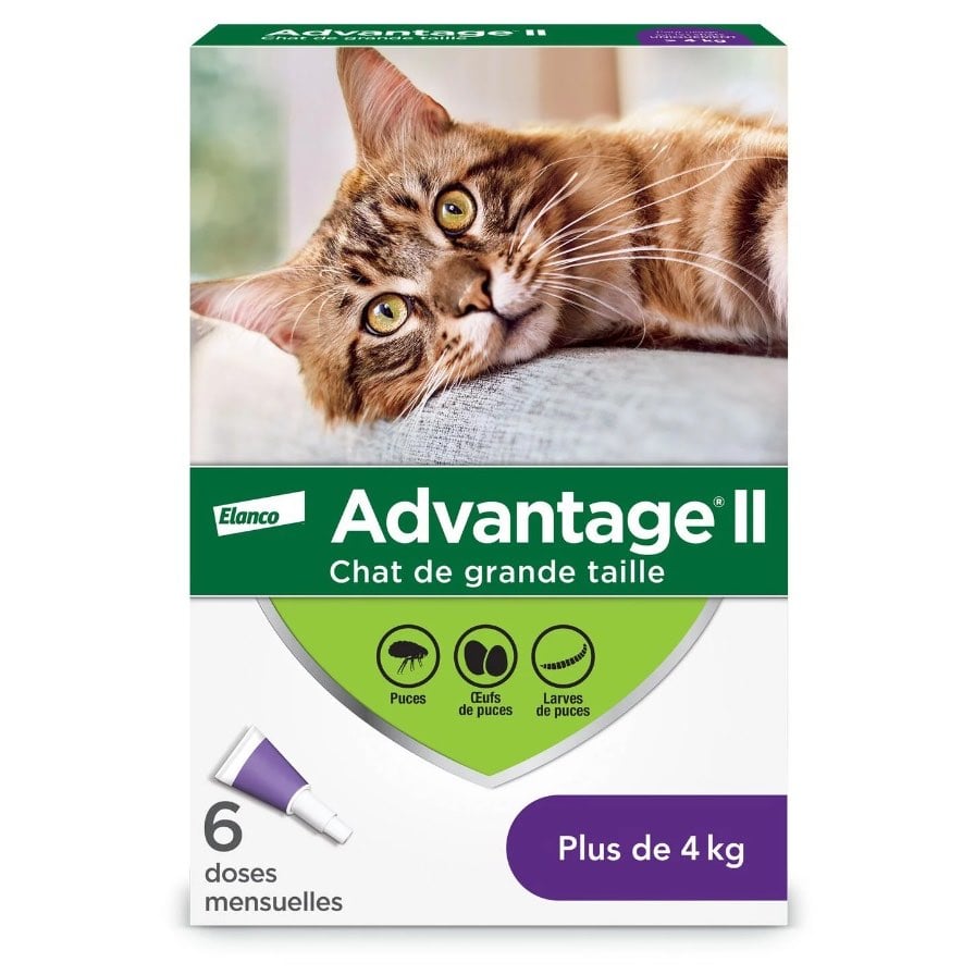 Advantage II for Cats - Over 4 kg (Purple) / Pack of 6 - product image 1