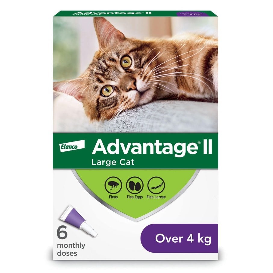 Advantage II for Cats - Over 4 kg (Purple) / Pack of 6 - product image 2