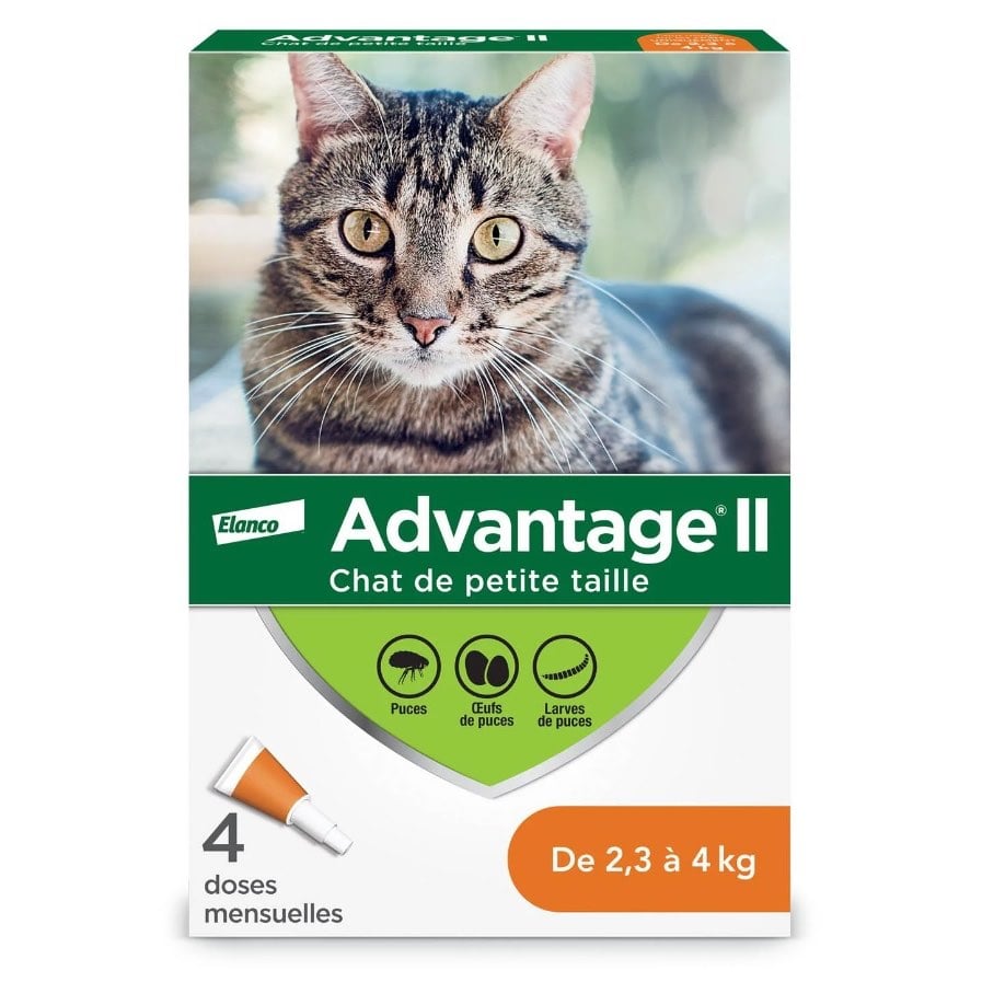 Advantage II for Cats - 2.3-4 kg (Orange) / Pack of 4 - product image 1
