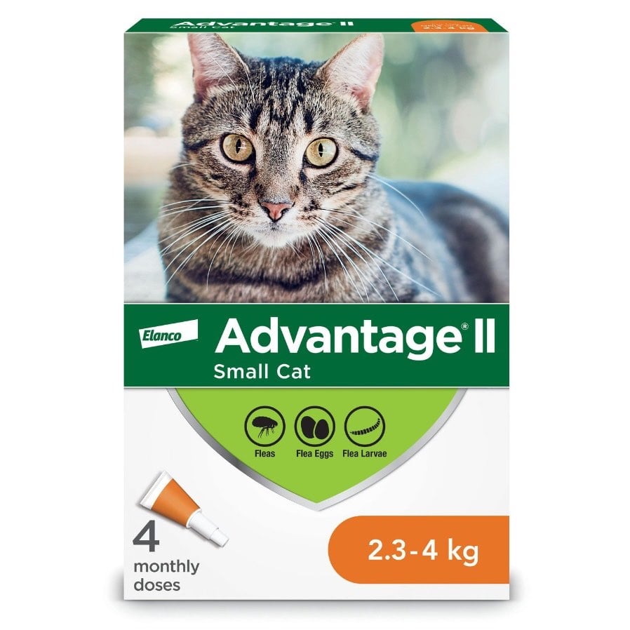 Advantage II for Cats - 2.3-4 kg (Orange) / Pack of 4 - product image 2