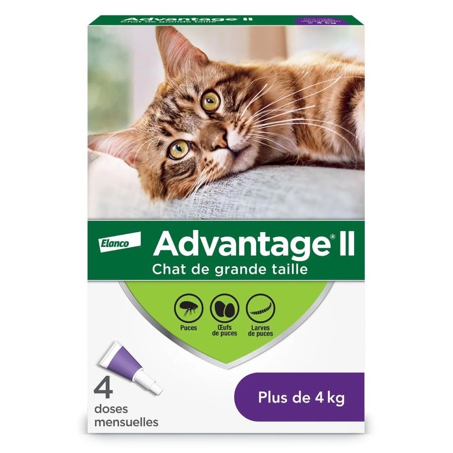 Advantage II for Cats - Over 4 kg (Purple) / Pack of 4 - product image 1