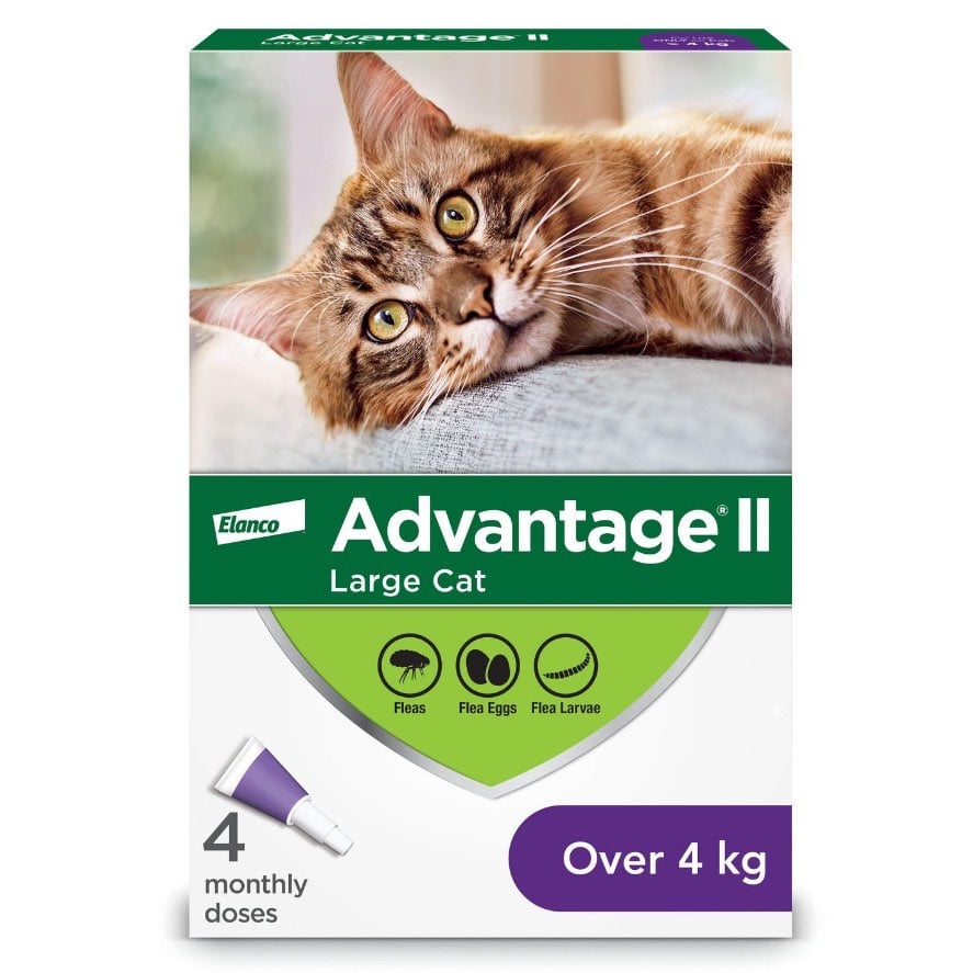 Advantage II for Cats - Over 4 kg (Purple) / Pack of 4 - product image 2