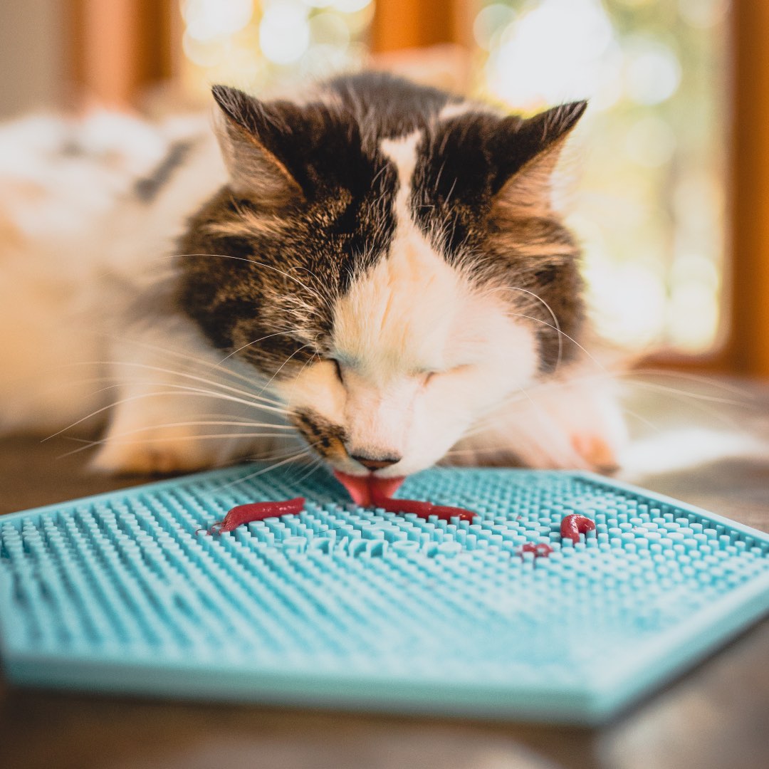 Lick Mat (Blue) 1 Unit - Default Title - product image 3