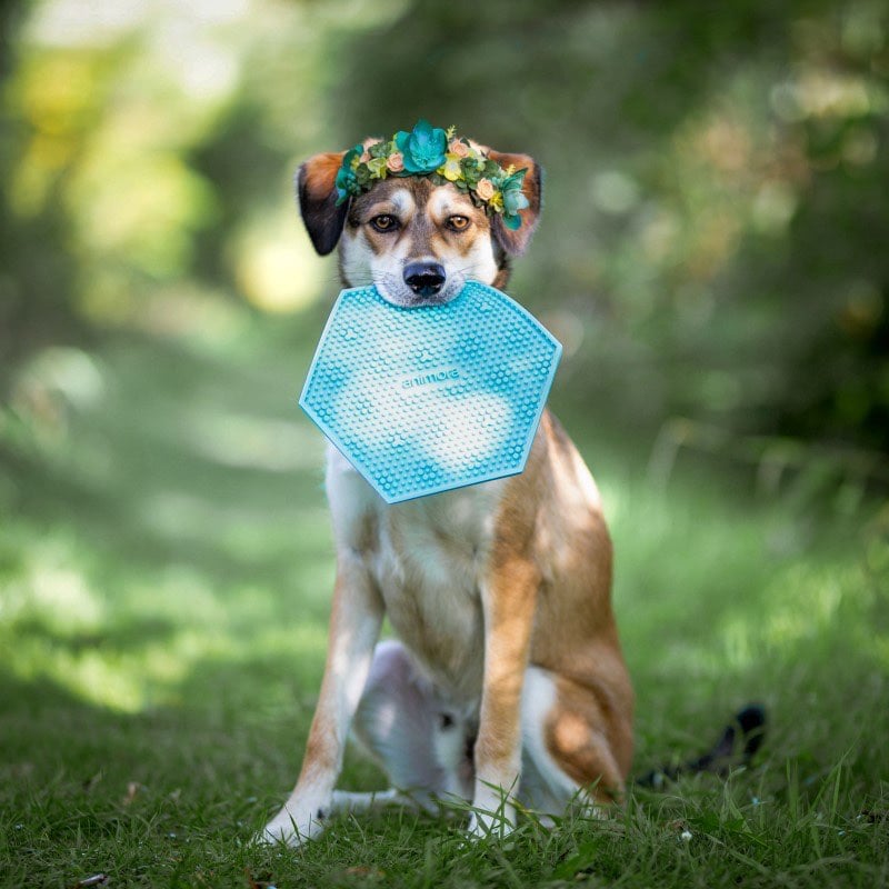 Lick Mat (Blue) 1 Unit - Default Title - product image 4