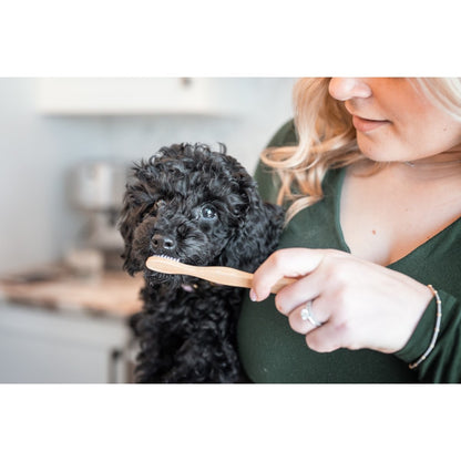 Bamboo Toothbrush for Pets 1 Toothbrush, Large - Default Title - product image 2