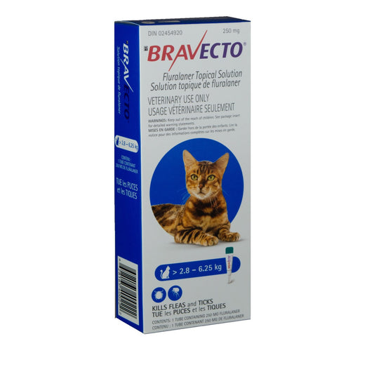 Bravecto Topical Solution for Cats, 2.9 - 6.25 kg (Blue), 1 Applicator