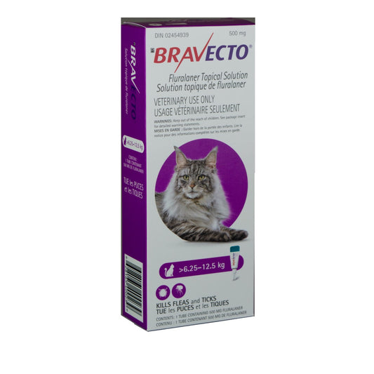 Bravecto Topical Solution for Cats, 6.26 - 12.5 kg (Purple), 1 Applicator