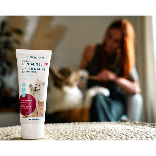 Dental Gel for Cats and Dogs - view 1