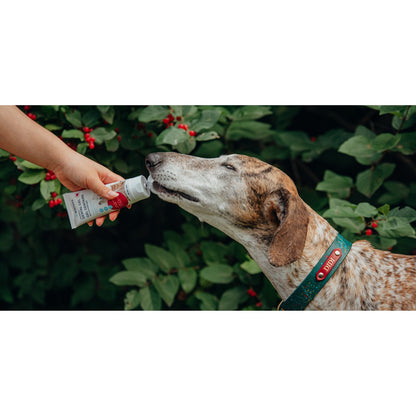 Dental Gel for Cats and Dogs - view 3