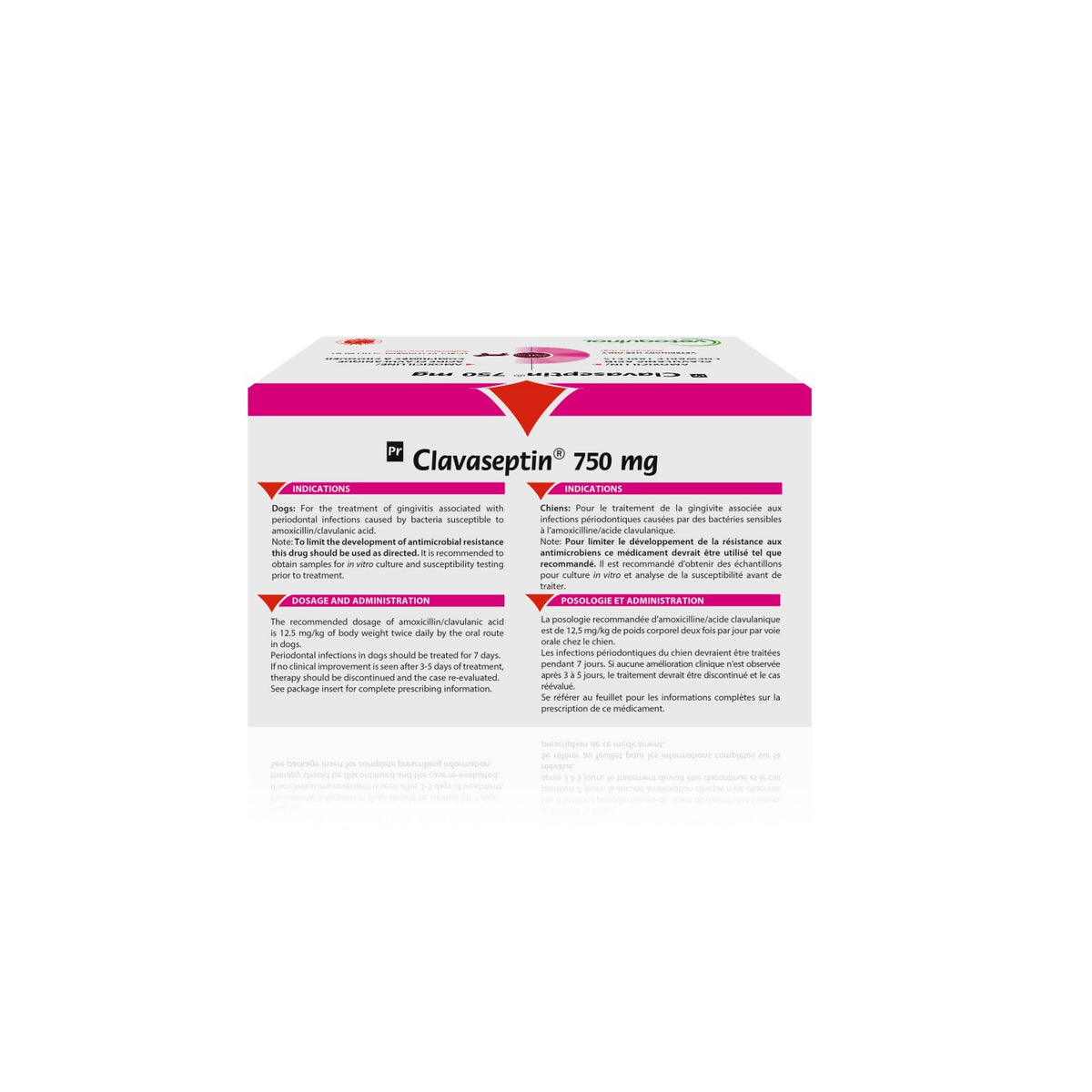 Clavaseptin Chewable Tablet for Dogs, 750 mg, 100 Chews - view 3