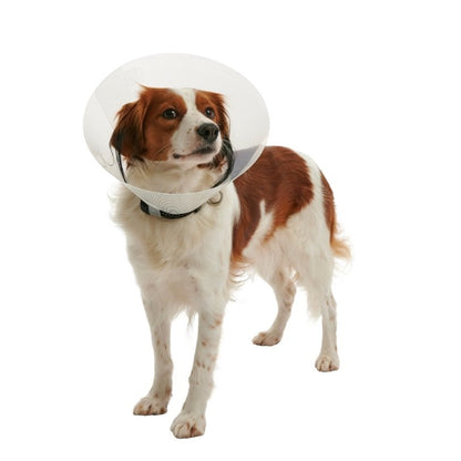 Buster Clic Collar for Cats and Dogs - Standard / 35 cm - product image 2