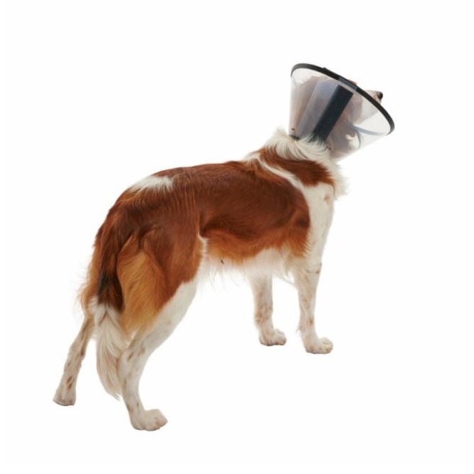 Buster Quick Collar for Cats and Dogs - view 17