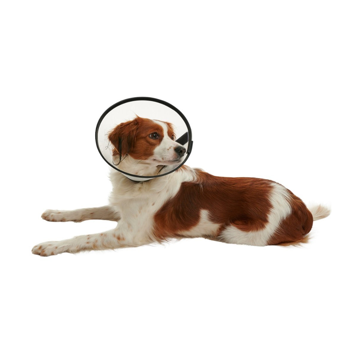 Buster Quick Collar for Cats and Dogs - view 5