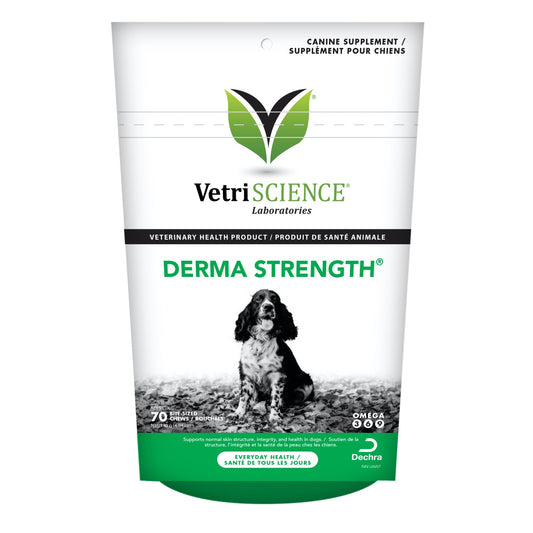 Derma Strength Chews for Dogs (Original) 70 Soft Chews - Default Title - product image 1