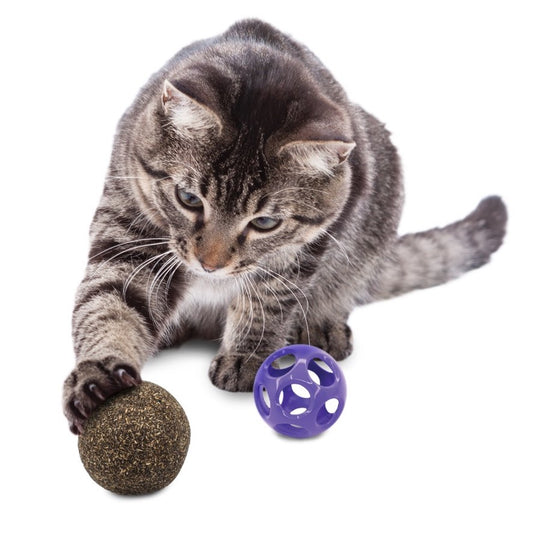 Blissy Moon Toy with Catnip for Cats 1 Unit - view 1
