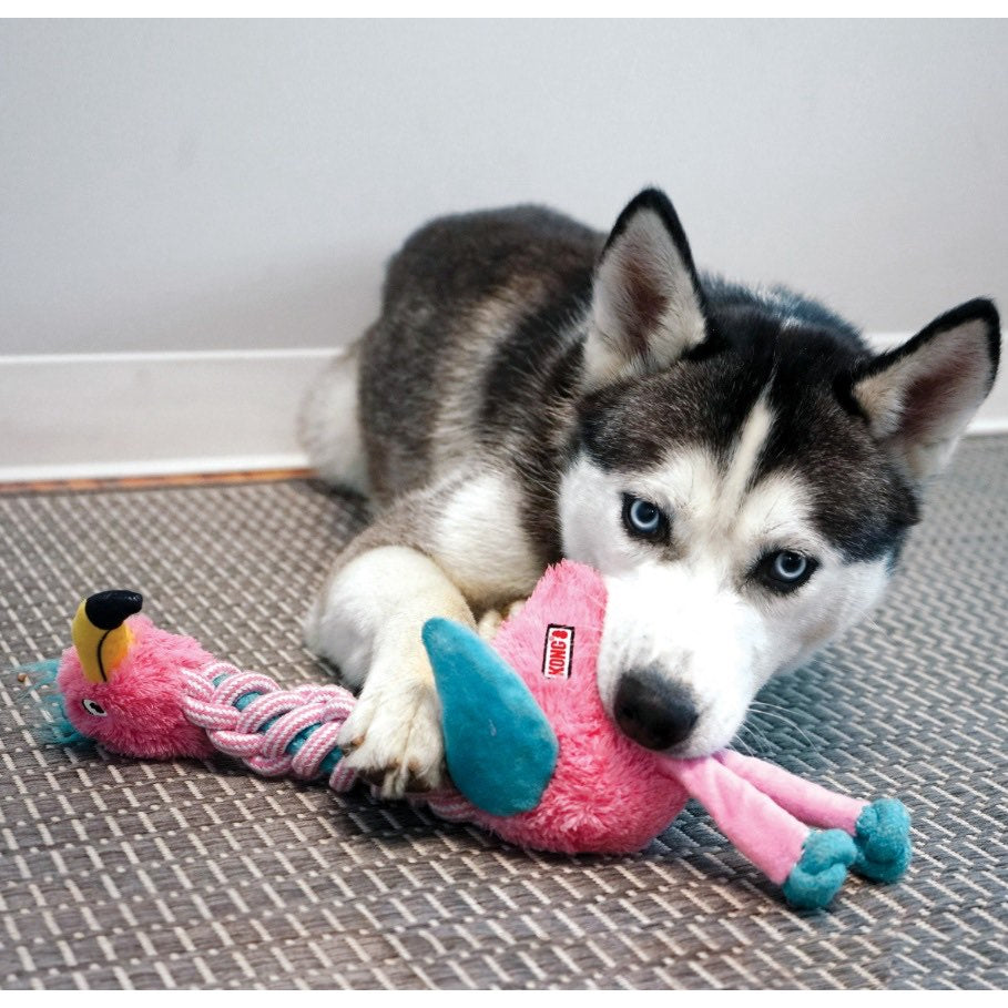 Knots Twists Toy for Dogs - view 1