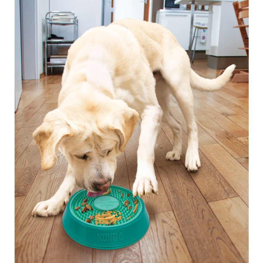 Treat Dispenser Spinz Licks for Dogs (Aqua) - view 3
