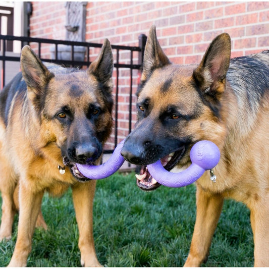 Ogee Stick Toy for Dogs (Purple) - view 1