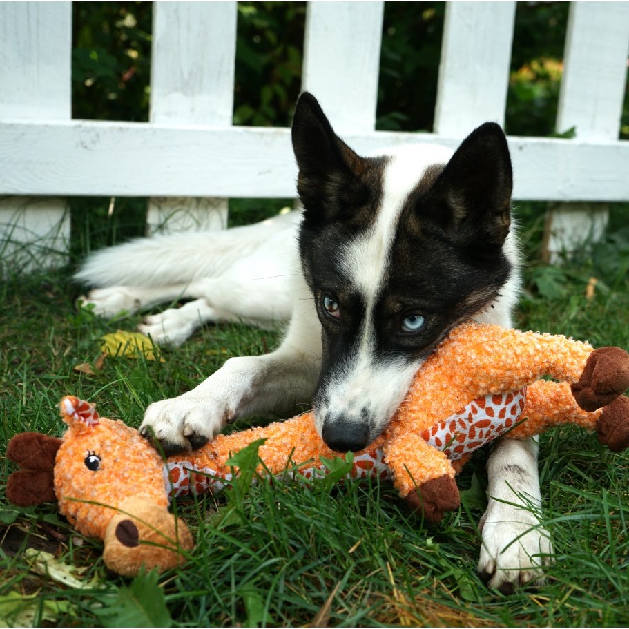 Shakers Luvs Plush for Dogs 1 Plush, Giraffe, Small - view 1