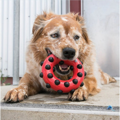 Dotz Circle Toy for Dogs (Red) - view 1