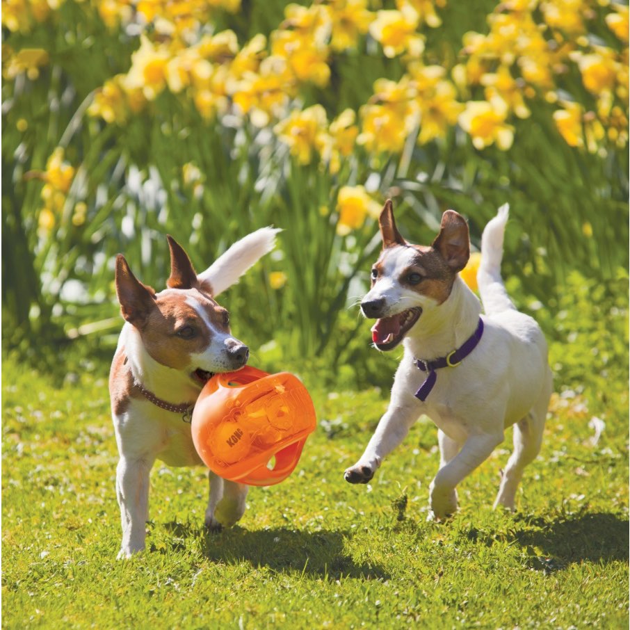 Jumbler Ball Toy for Dogs - view 1