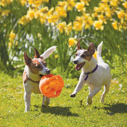 Jumbler Ball Toy for Dogs, Random, Medium/Large - view 1