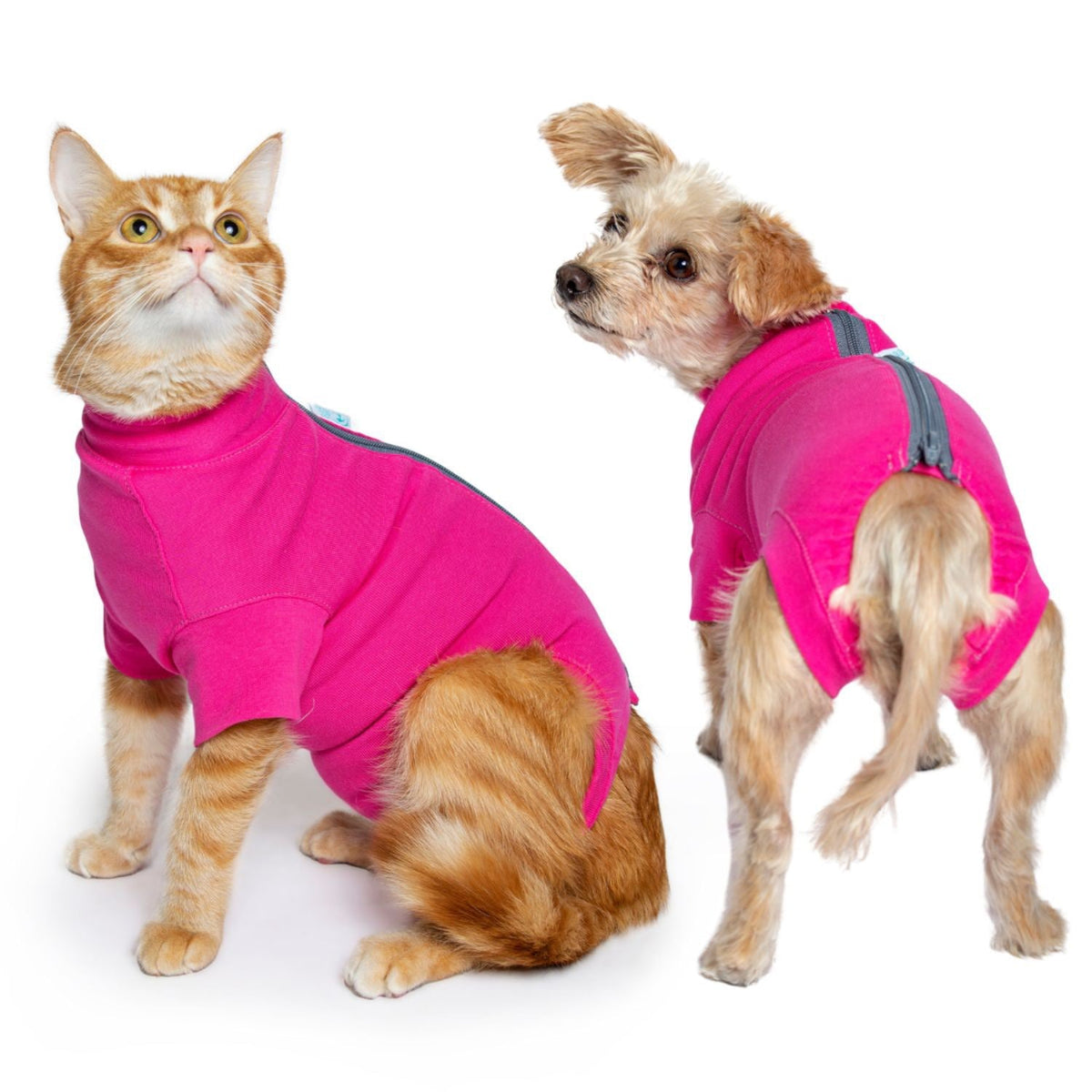 Recovery Suit for Females - Standard - product image 1