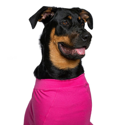Recovery Suit for Females - XS - product image 3