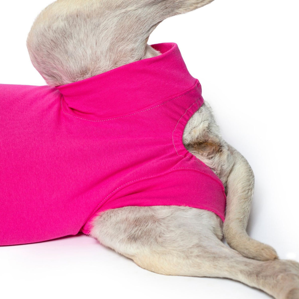Recovery Suit for Females - Large - product image 4
