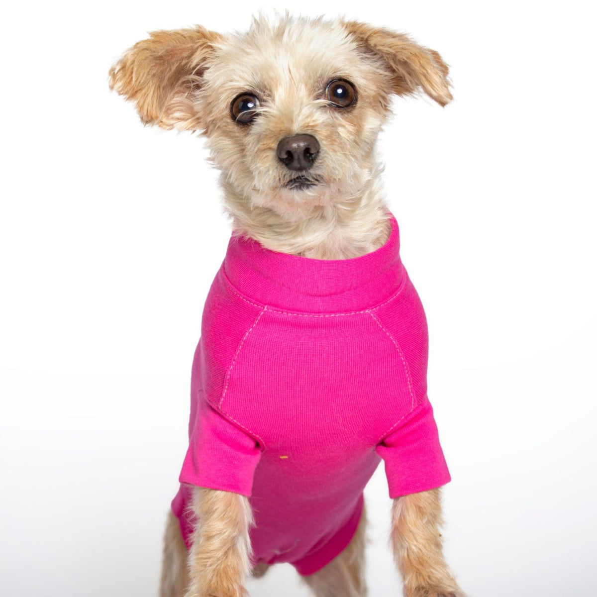 Recovery Suit for Females - XXXXLarge - product image 2