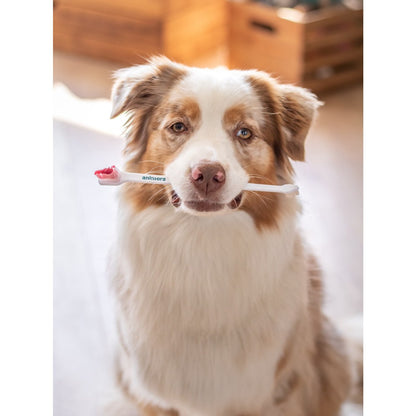 Double Ended Toothbrush for Animals 1 Unit for Dogs - Default Title - product image 3