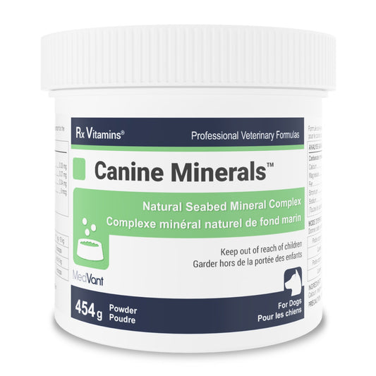 Rx Vitamins Canine Minerals Powder for Dogs (Original) 454 g Jar - Default Title - product image 1