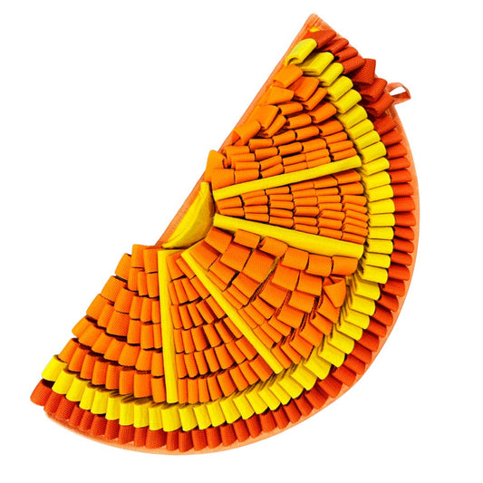 Snuffle Mat PawzNDogz Level 2 for Dogs (Orange) 1 Unit - Default Title - product image 1