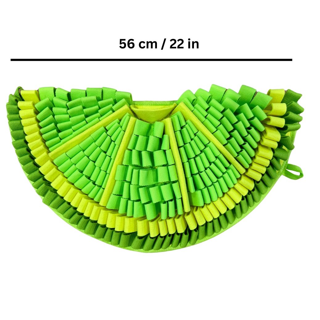 Snuffle Mat PawzNDogz Level 2 for Dogs 1 Unit, Citrusy-Zesty Lime, 1 Mat - view 3
