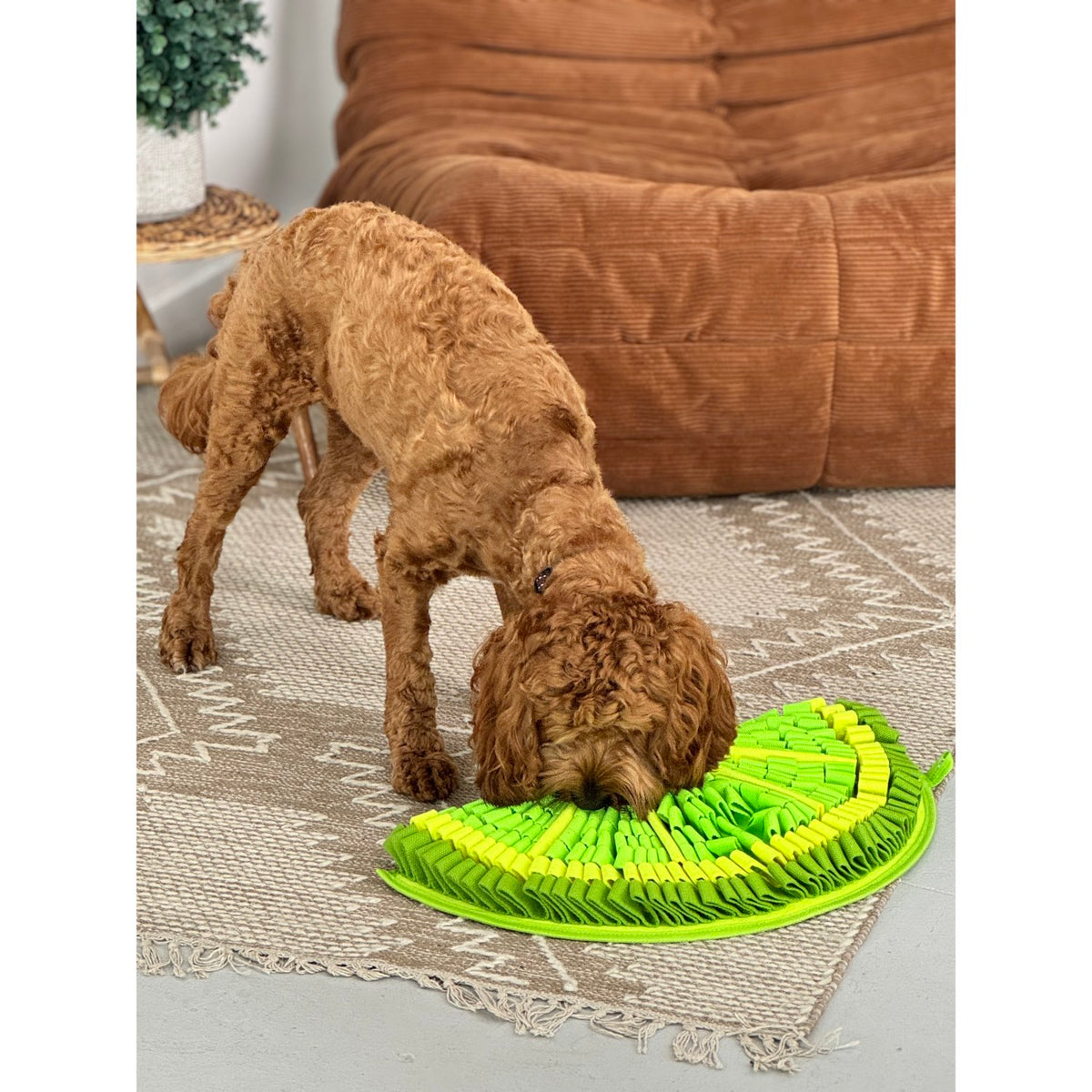 Snuffle Mat PawzNDogz Level 2 for Dogs 1 Unit, Citrusy-Zesty Lime, 1 Mat - view 1