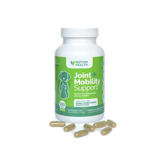 Green Lipped Mussels Mobility Support for Cats and Dogs 150 Cap 300 mg - Default Title - product image 1
