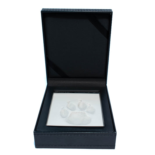 Paw Print with Clay in Leather Kit 1 Unit - Default Title - product image 1