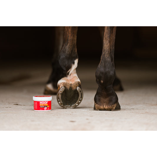 Hoof Doctor Putty for Horses 340 g Container - view 1